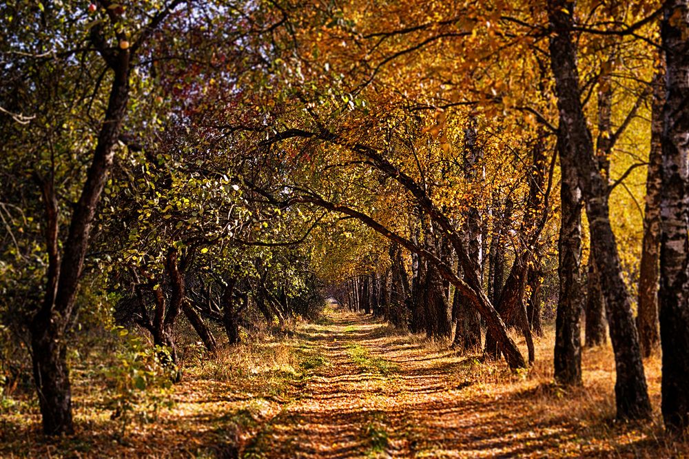 Photograph by Делана Романова