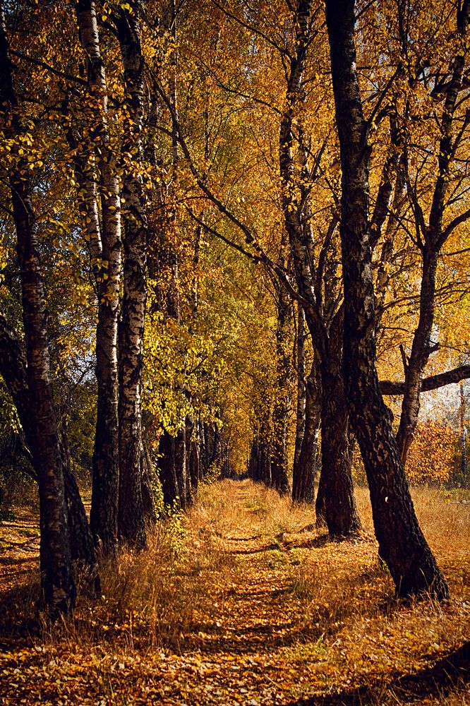 Photograph by Делана Романова