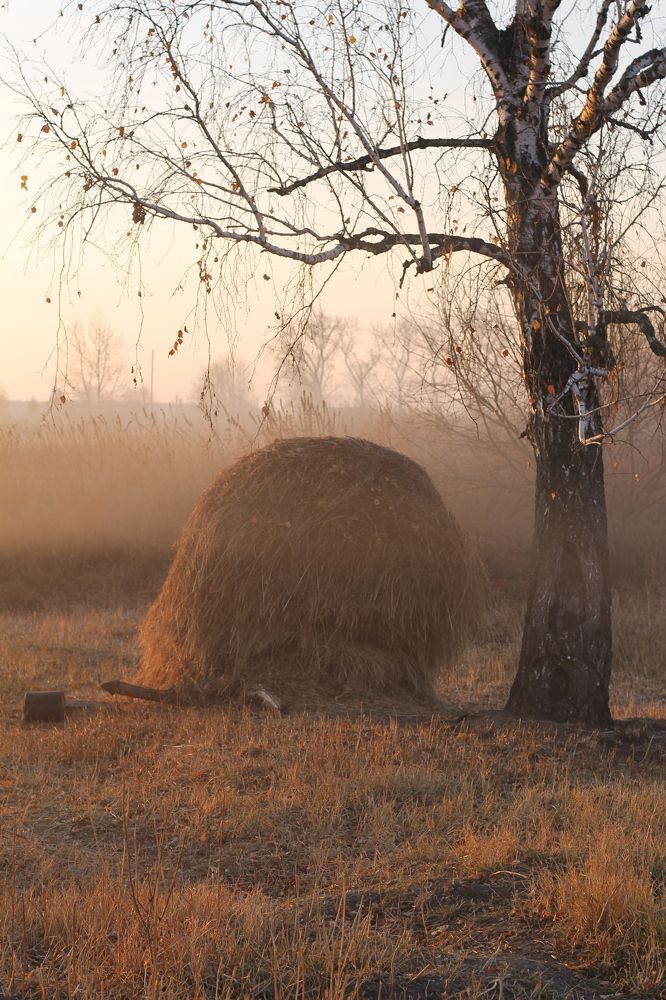 Photograph by Елена Шихалева