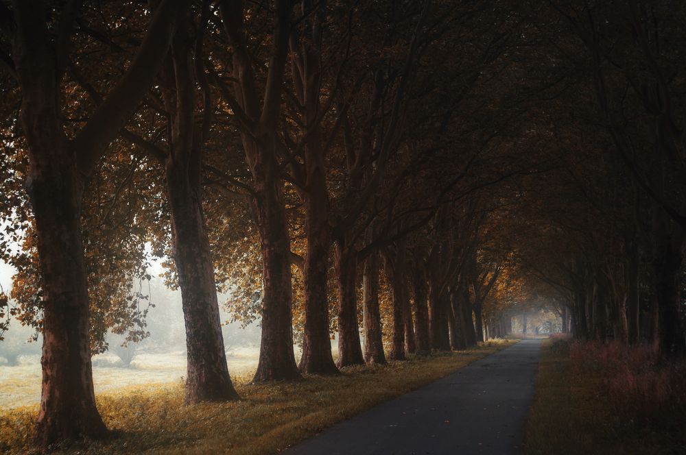 Photograph by Екатерина