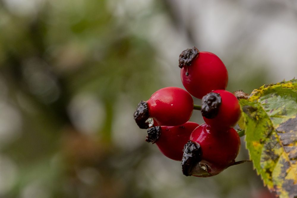 Photograph by Константин Чижов