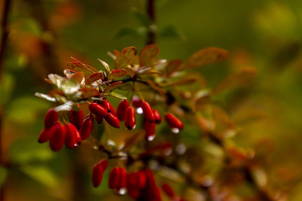 Photograph by Константин Чижов