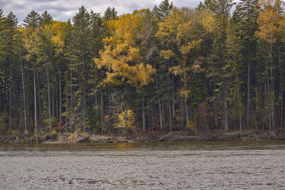 Photograph by Блохина Ольга