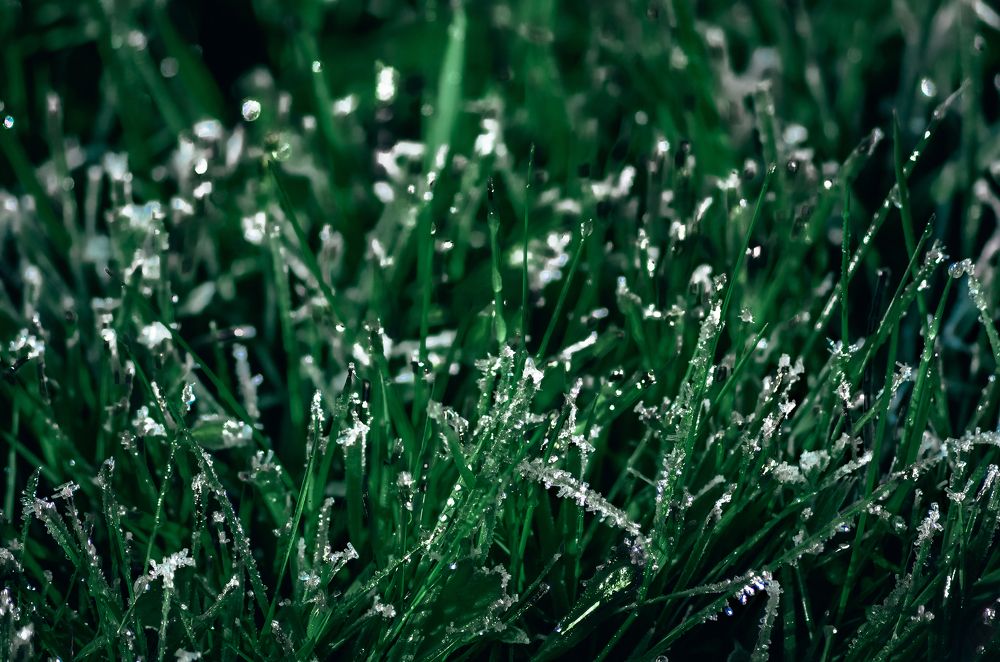 Photograph by Вероника Ливанова