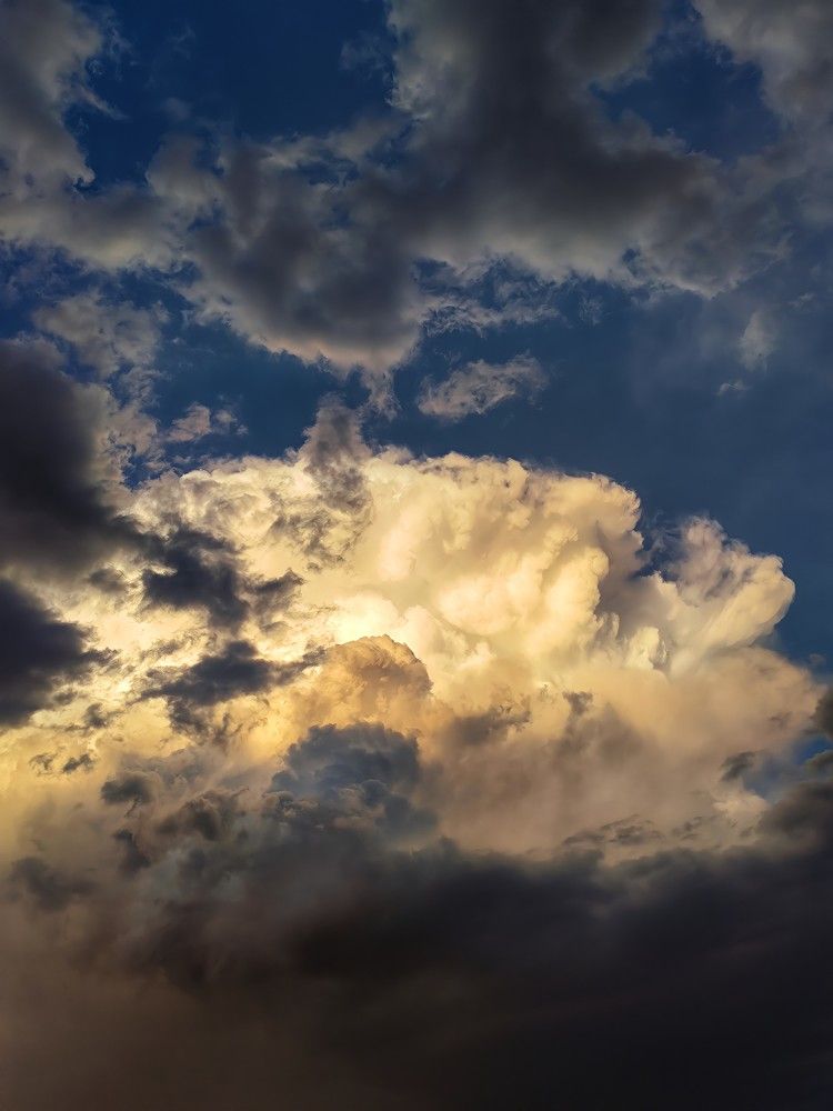 Photograph by Ali goreishi