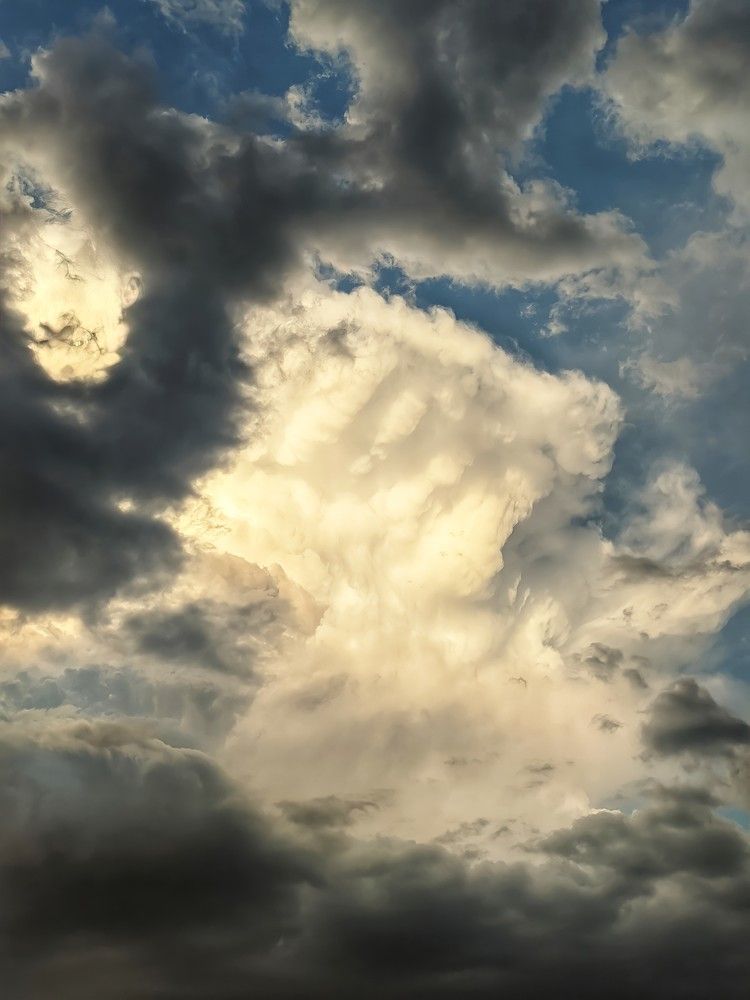 Photograph by Ali goreishi