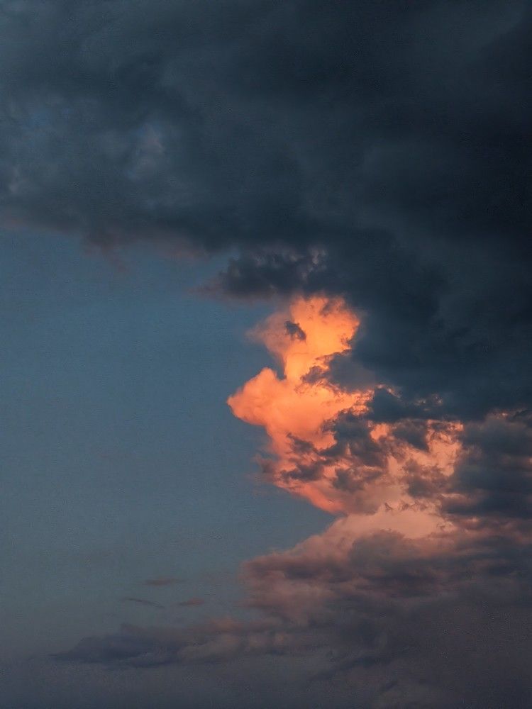 Photograph by Ali goreishi