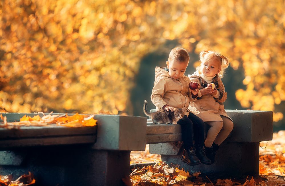 Photograph by алексей брест