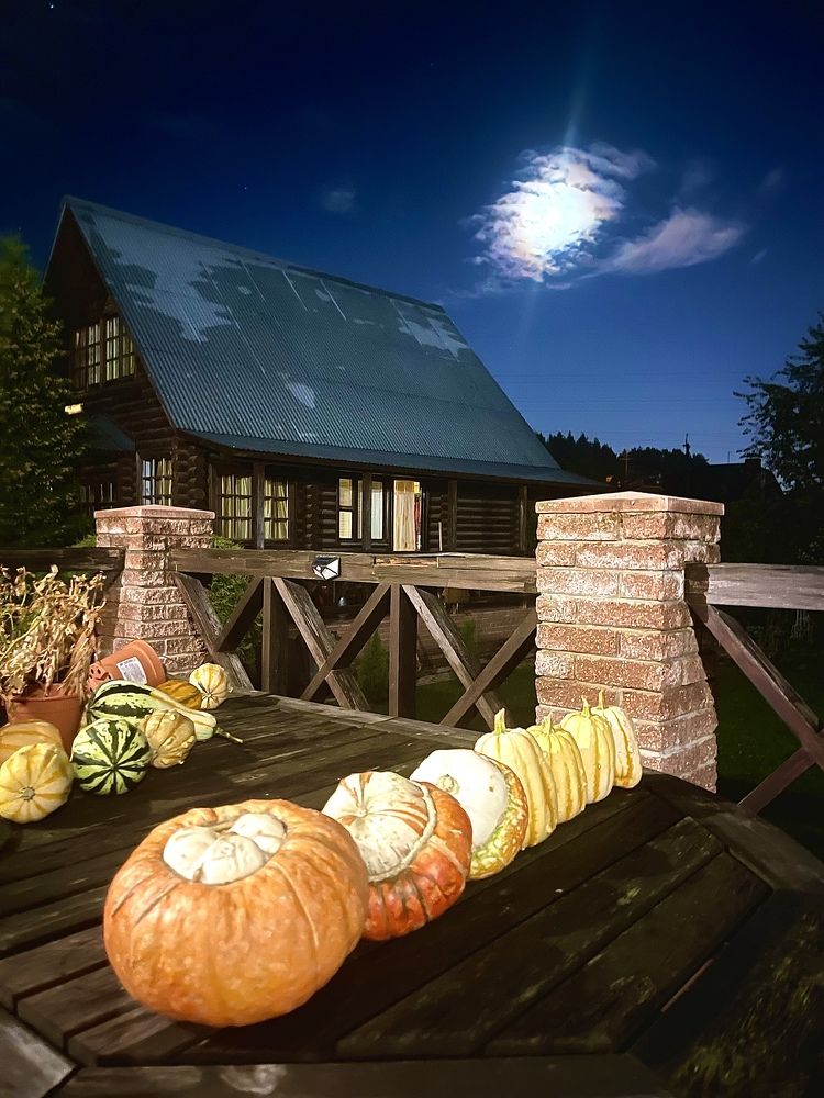 Photograph by Светлана