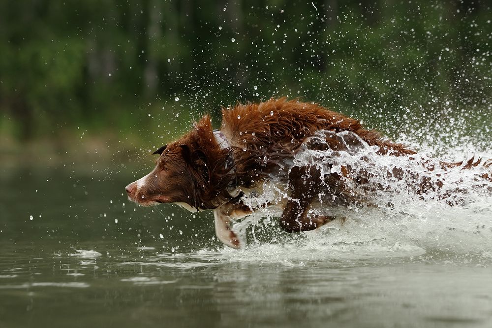 Photograph by Ольга Легенькая
