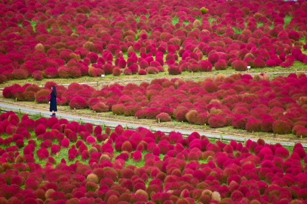 Фотография автора Sen Abhijit