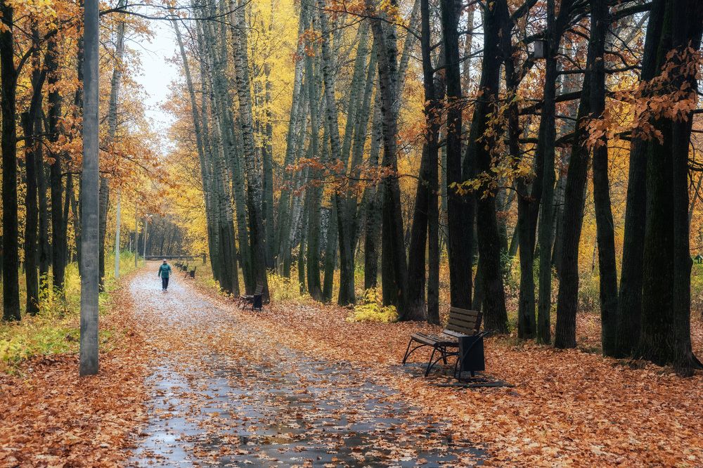 Photograph by Юлия Морозова