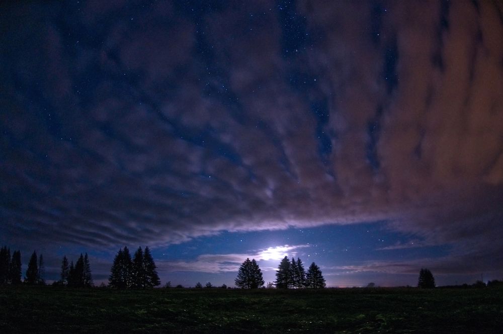 Photograph by Юрий Яковлев