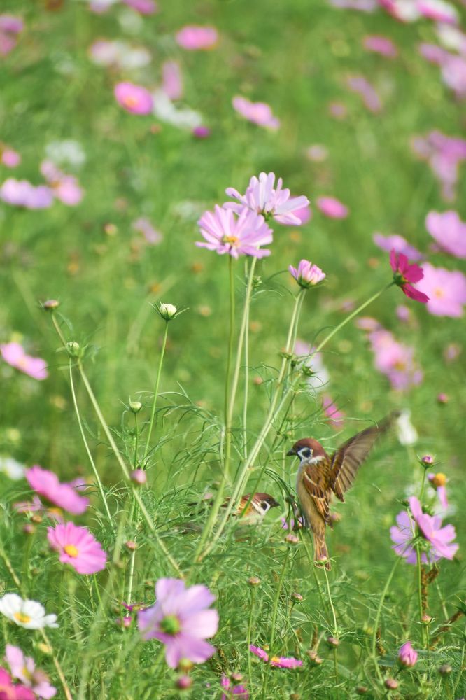 Фотография автора Sen Abhijit