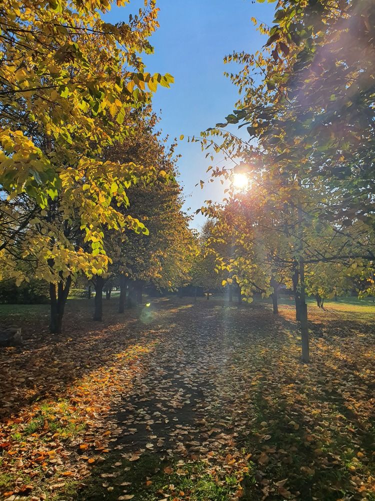 Photograph by Екатерина Верясова