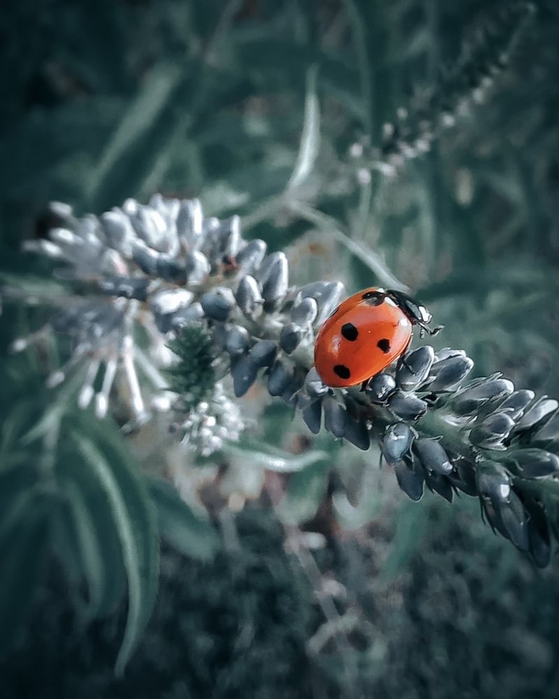 Photograph by Люда Яковлева