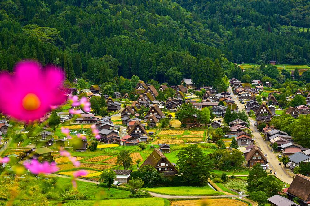 Фотография автора Sen Abhijit