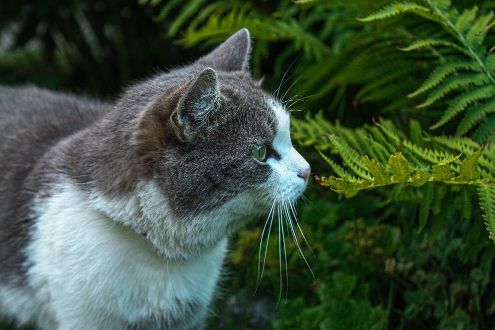 Photograph by Марина Ильева