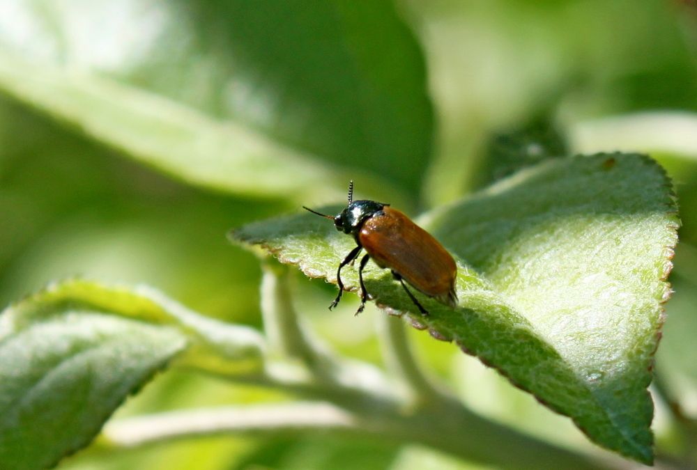 Photograph by Марина Ильева