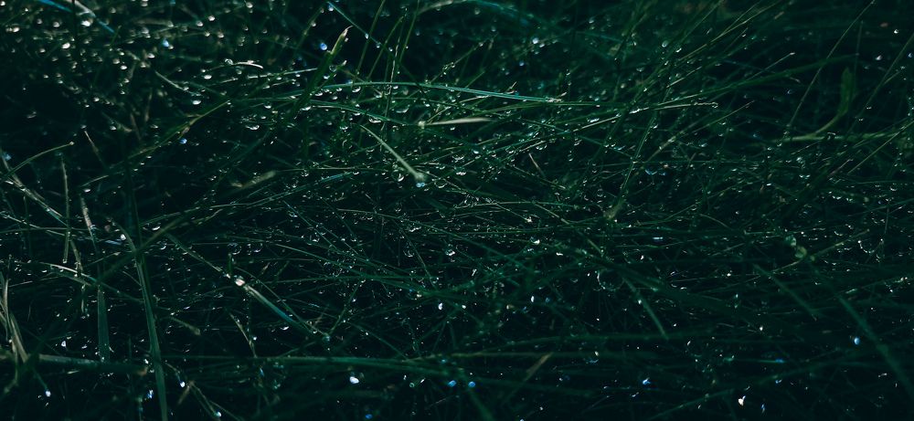 Photograph by Марина Ильева