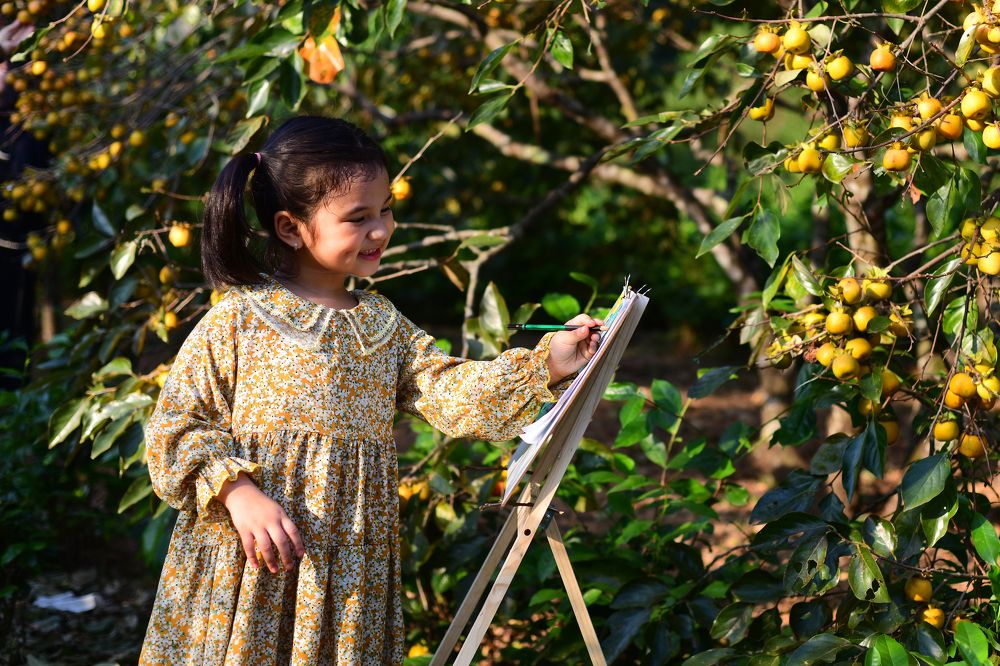 A picnic drawing lesson