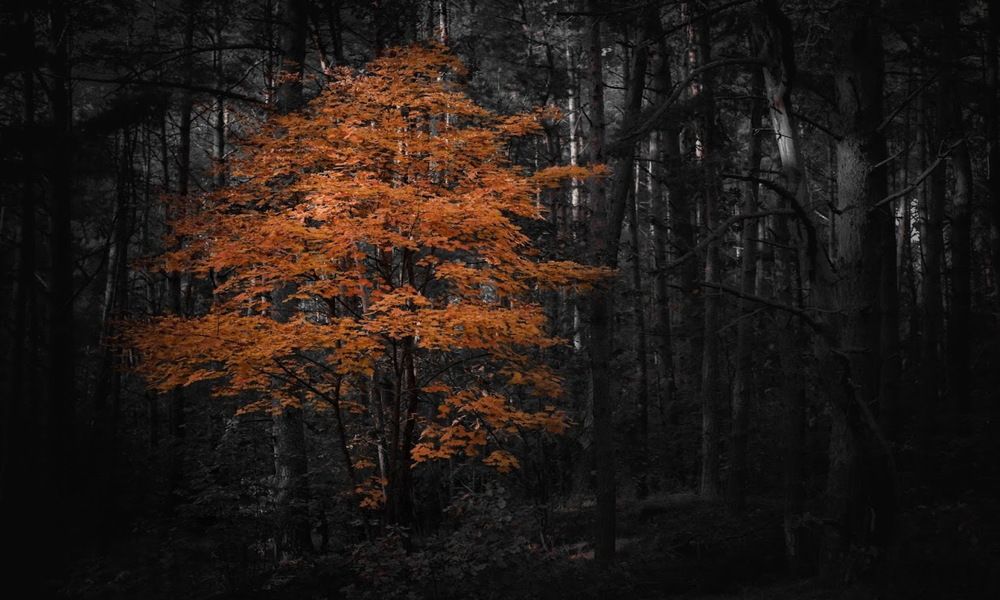 Photograph by Владимир Мошков