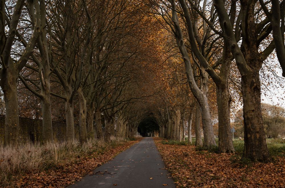 Photograph by Екатерина