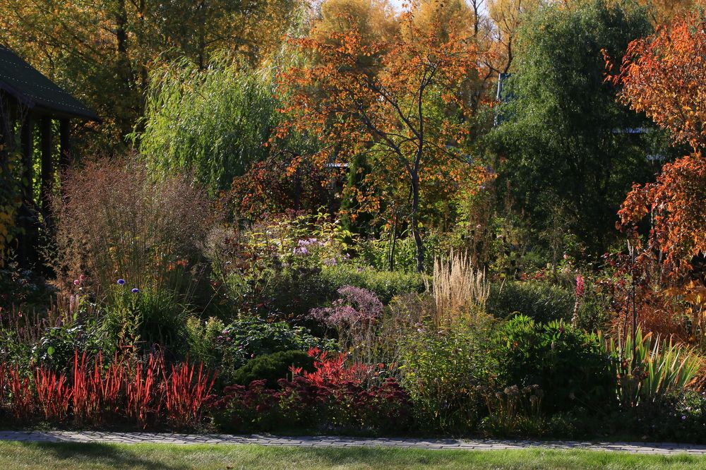 Солнечный день