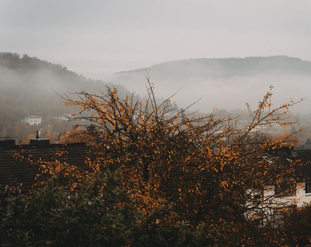 Photograph by Екатерина