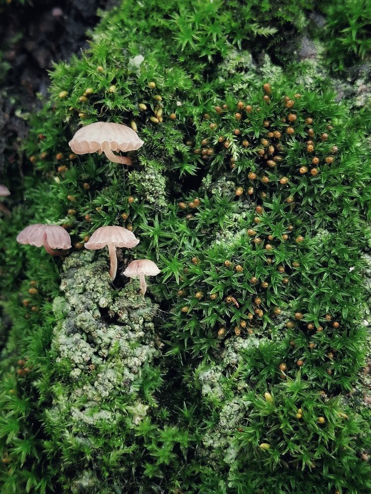 Photograph by Марцева Татьяна