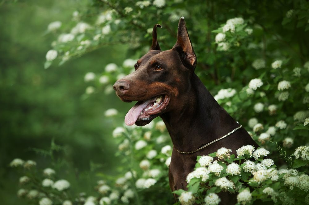 Photograph by Ольга Легенькая