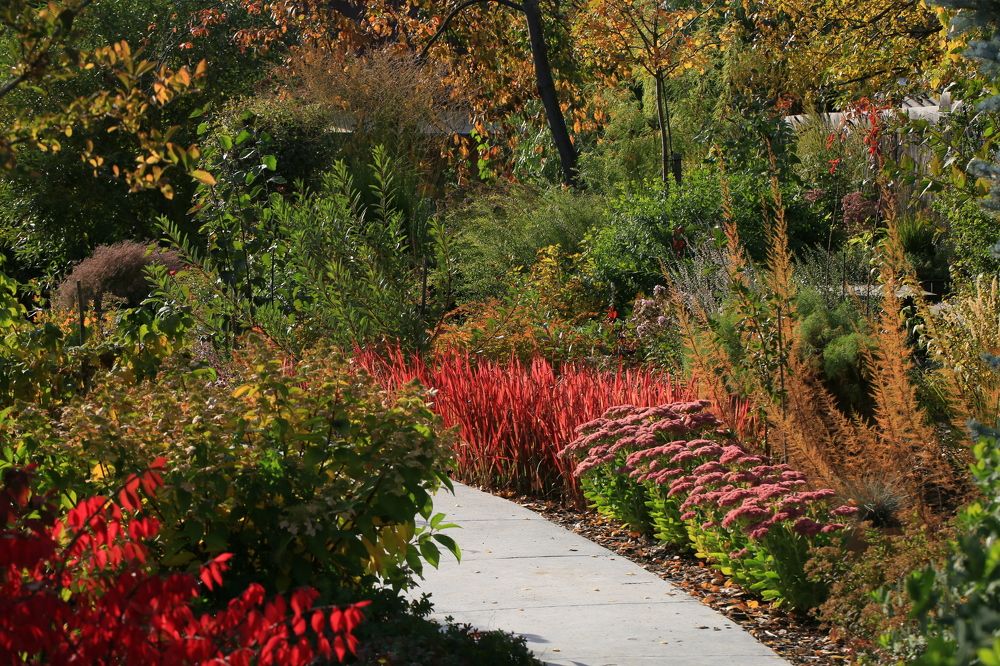 Photograph by Владимир Мальчихин