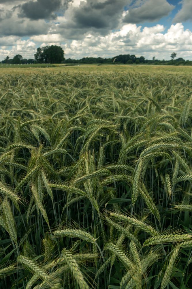 Photograph by Дьяченко Алёна