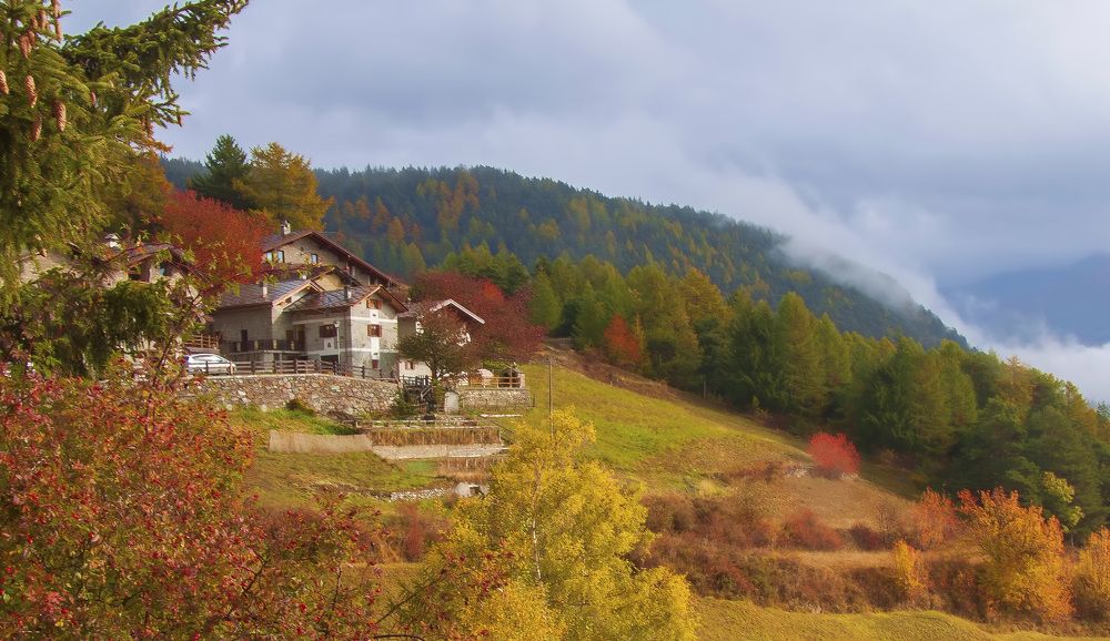 Photograph by Svetlana Rizzo