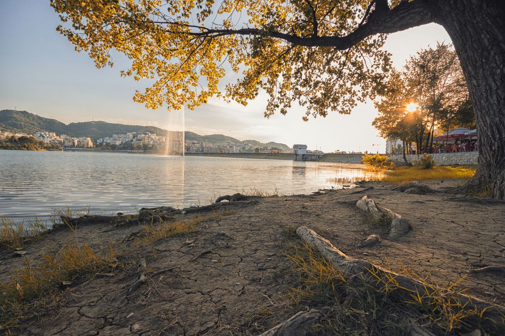 Photograph by Mihai Romeo Bogdan