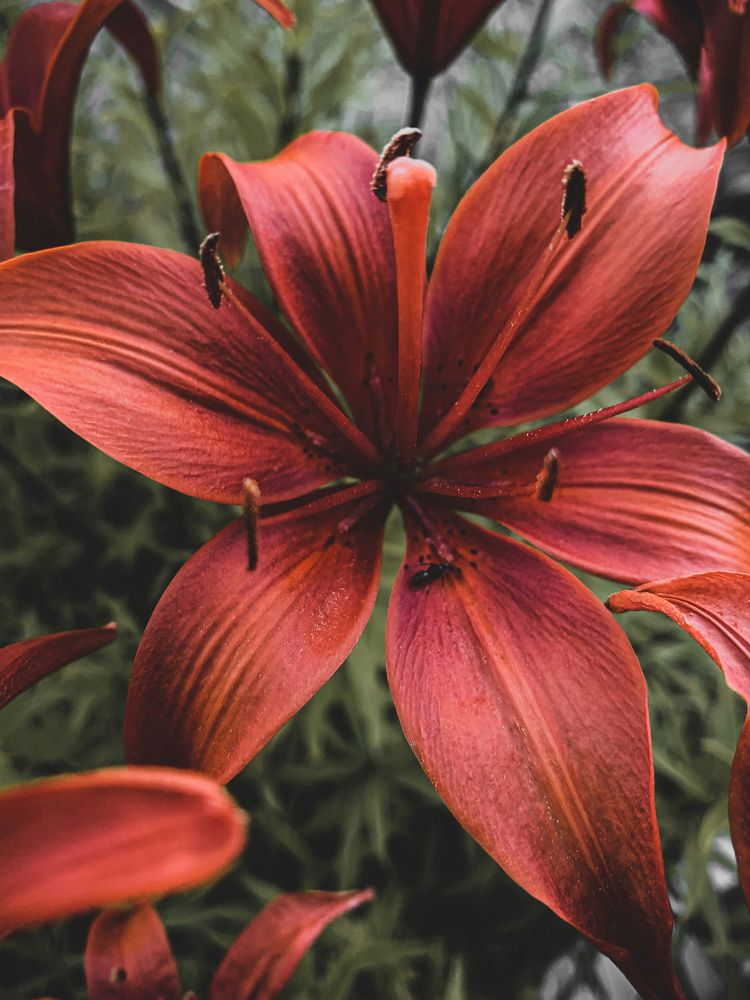 Photograph by Оксана Якименко