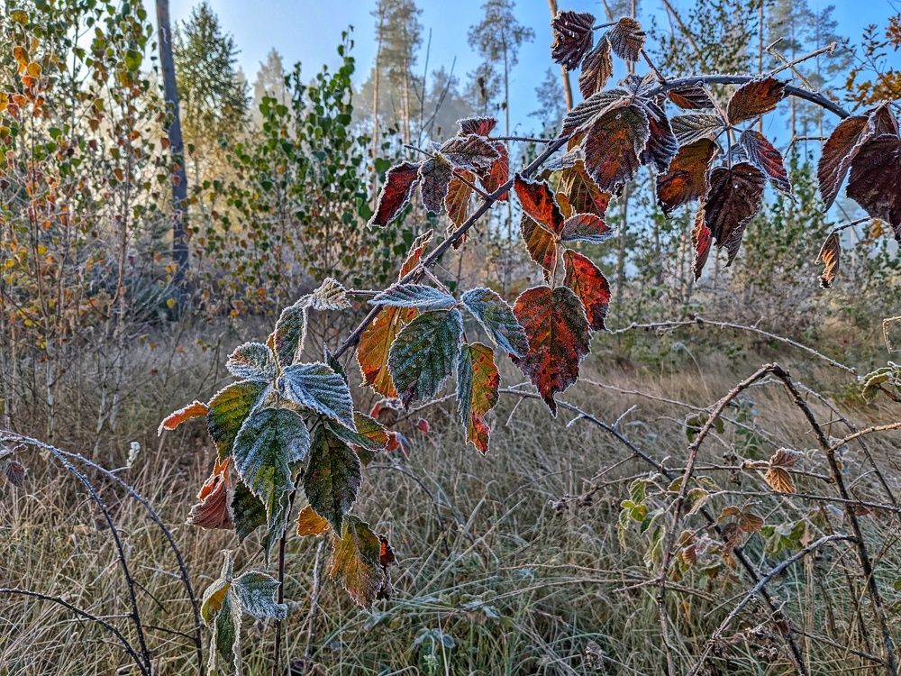 Photograph by Lavlad L