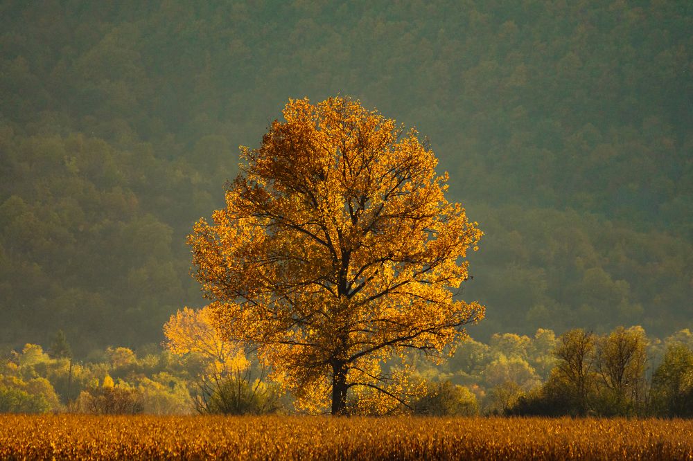 Photograph by Радослав Сотиров