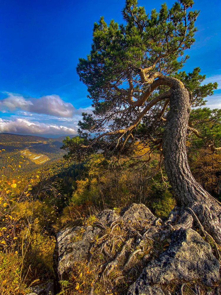 Photograph by Бенсон Снежана