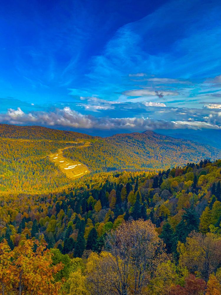 Photograph by Бенсон Снежана