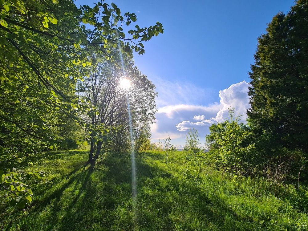 Photograph by Ксения Определенкова