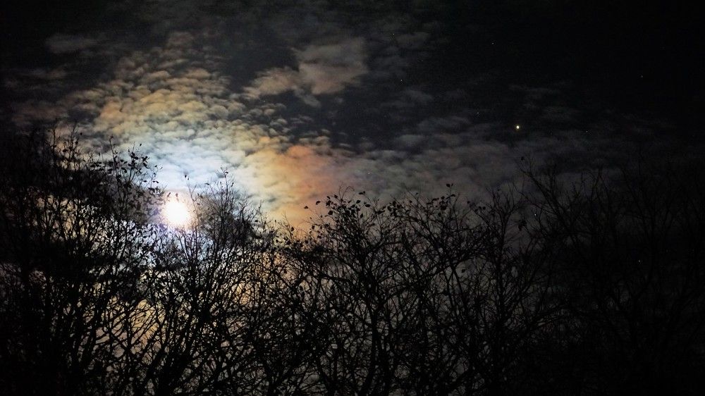 Photograph by Михаил Трусов