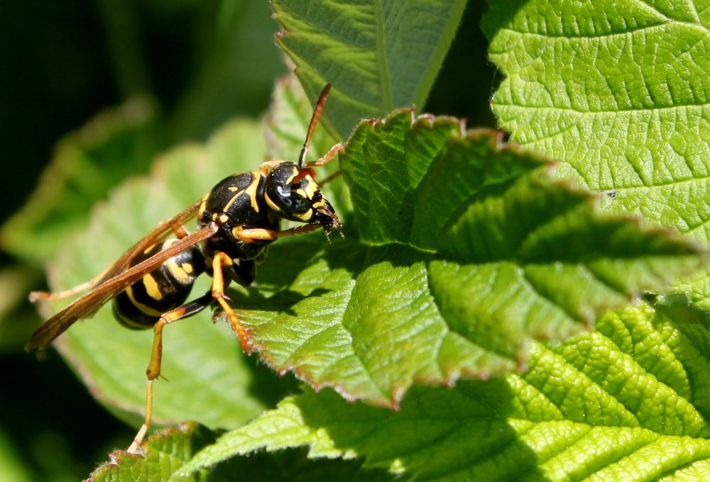 Photograph by Марина Ильева