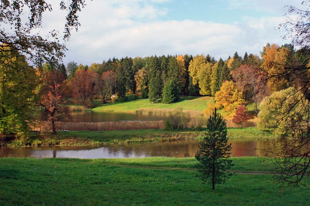 Photograph by Ирина Румянцева