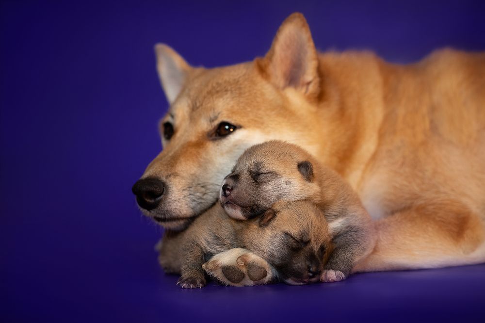 Photograph by Ольга Легенькая