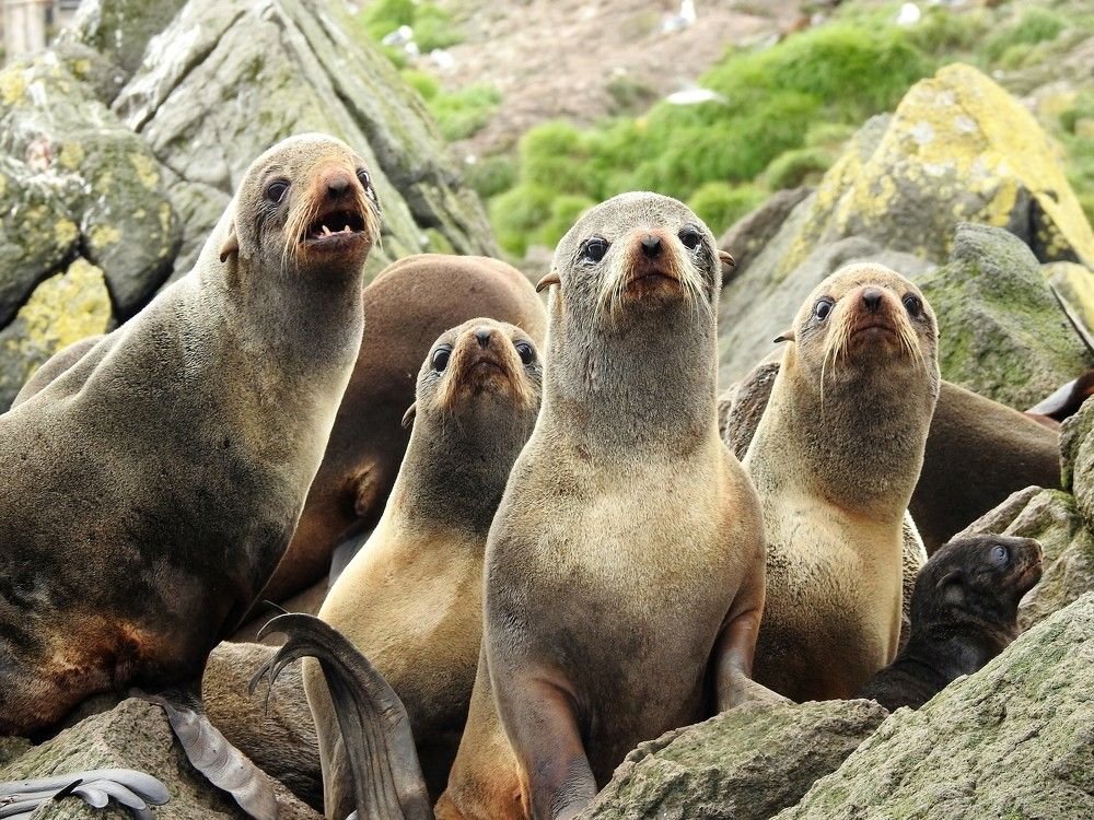 Photograph by Nikolai Maleshin