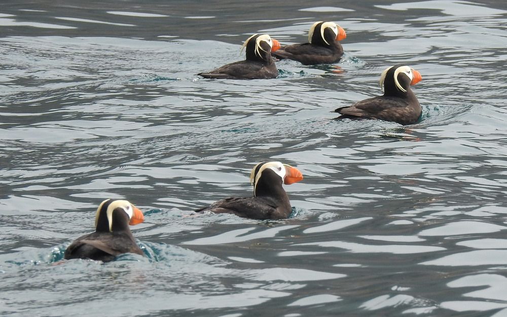 Photograph by Nikolai Maleshin