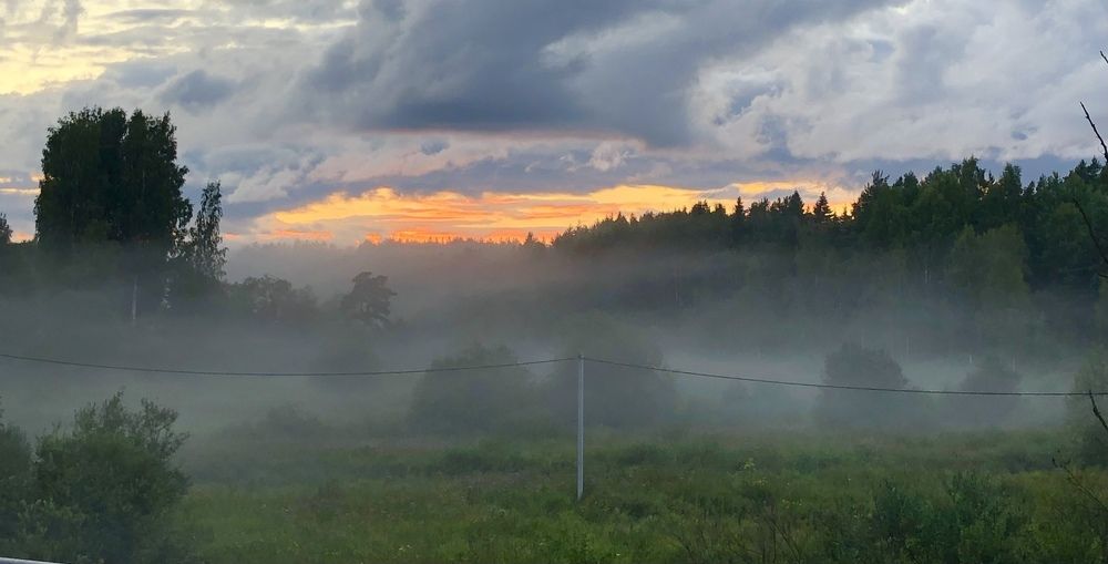 Photograph by Мария Бессмертная