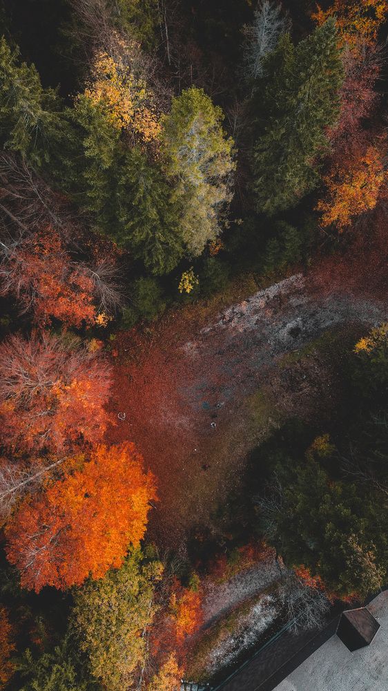 Photograph by Katya Slavich