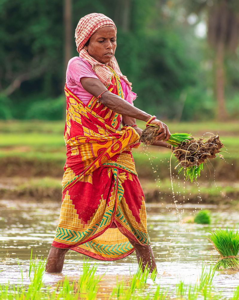 Photograph by Anirban Pan
